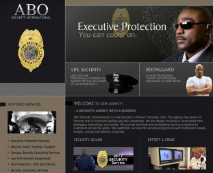 Website designed for a security company in Denver Colorado.